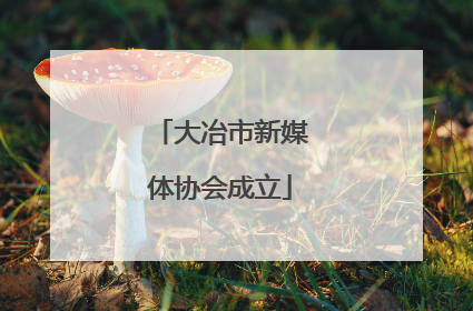 大冶市新媒体协会成立
