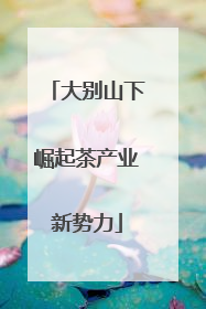 大别山下崛起茶产业新势力