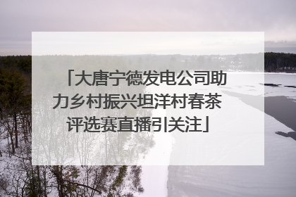 大唐宁德发电公司助力乡村振兴坦洋村春茶评选赛直播引关注