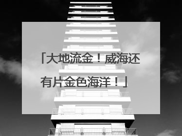 大地流金！威海还有片金色海洋！