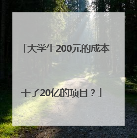 大学生200元的成本干了20亿的项目？