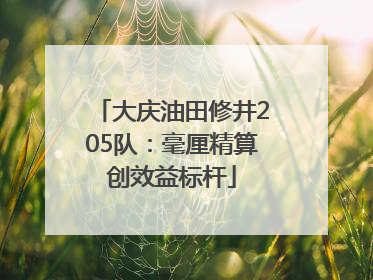 大庆油田修井205队：毫厘精算创效益标杆