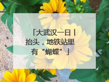 大武汉一日丨抬头，地铁站里有“蝴蝶”