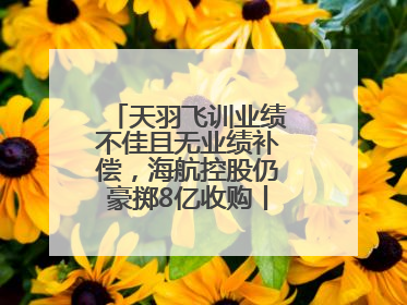 天羽飞训业绩不佳且无业绩补偿，海航控股仍豪掷8亿收购丨一周市场观察