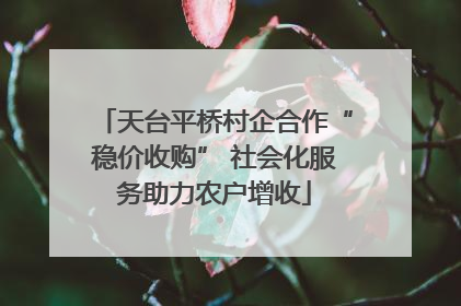 天台平桥村企合作“稳价收购” 社会化服务助力农户增收