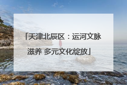 天津北辰区：运河文脉滋养 多元文化绽放