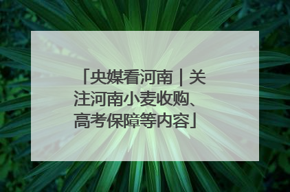 央媒看河南｜关注河南小麦收购、高考保障等内容