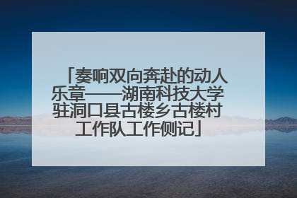 奏响双向奔赴的动人乐章——湖南科技大学驻洞口县古楼乡古楼村工作队工作侧记