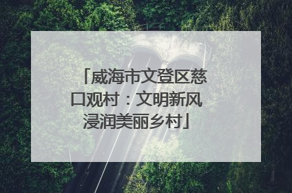 威海市文登区慈口观村：文明新风浸润美丽乡村
