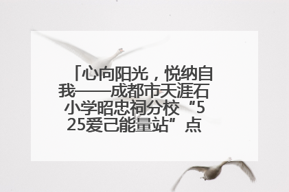 心向阳光，悦纳自我——成都市天涯石小学昭忠祠分校“525爱己能量站”点亮孩子心灵之旅
