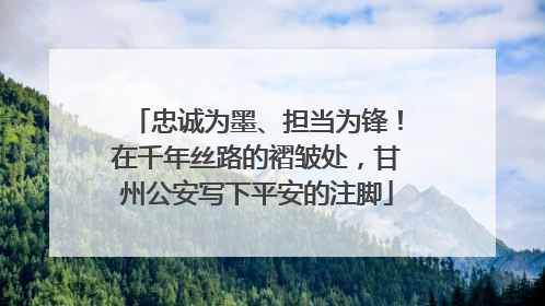 忠诚为墨、担当为锋！在千年丝路的褶皱处，甘州公安写下平安的注脚