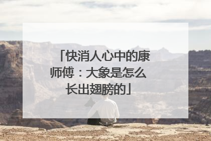 快消人心中的康师傅：大象是怎么长出翅膀的