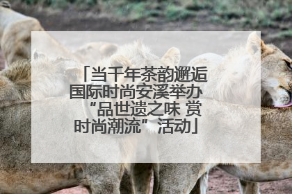 当千年茶韵邂逅国际时尚安溪举办“品世遗之味 赏时尚潮流”活动