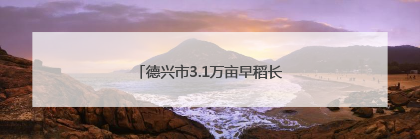 德兴市3.1万亩早稻长势喜人 丰收在望（图）