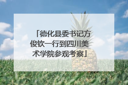 德化县委书记方俊钦一行到四川美术学院参观考察