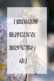 德国总理批评以军在加沙军事行动