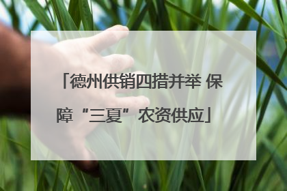 德州供销四措并举 保障“三夏”农资供应