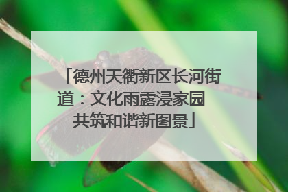 德州天衢新区长河街道：文化雨露浸家园 共筑和谐新图景