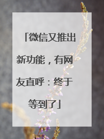 微信又推出新功能，有网友直呼：终于等到了