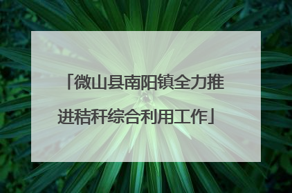微山县南阳镇全力推进秸秆综合利用工作