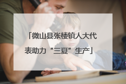 微山县张楼镇人大代表助力“三夏”生产
