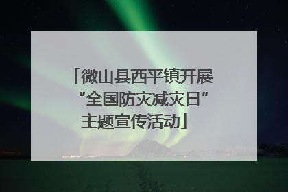 微山县西平镇开展“全国防灾减灾日”主题宣传活动