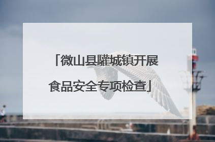 微山县驩城镇开展食品安全专项检查