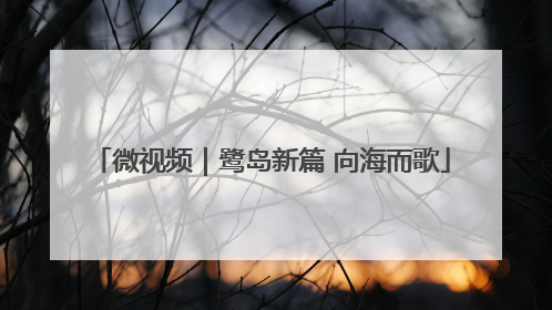 微视频｜鹭岛新篇 向海而歌
