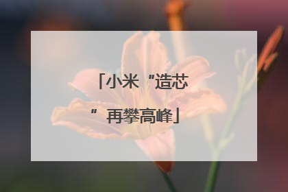 小米“造芯”再攀高峰