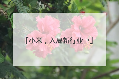 小米，入局新行业→
