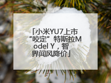 小米YU7上市“咬定”特斯拉Model Y，智界闻风降价