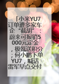 小米YU7订单遭多家车企“截胡”：蔚来可报销5000元定金，极氪送积分；何小鹏下单YU7，喊话雷军早点交付