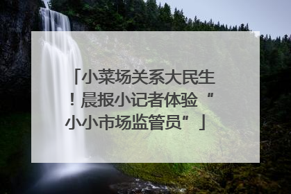 小菜场关系大民生！晨报小记者体验“小小市场监管员”