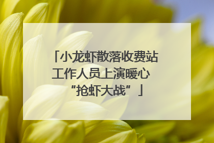 小龙虾散落收费站 工作人员上演暖心“抢虾大战”