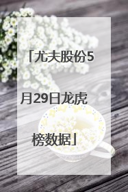 尤夫股份5月29日龙虎榜数据