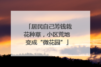 居民自己筹钱栽花种草，小区荒地变成“微花园”