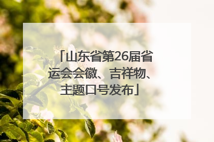 山东省第26届省运会会徽、吉祥物、主题口号发布
