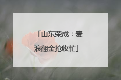 山东荣成：麦浪翻金抢收忙