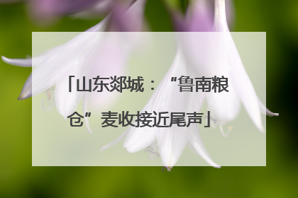 山东郯城：“鲁南粮仓”麦收接近尾声