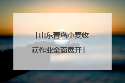 山东青岛小麦收获作业全面展开
