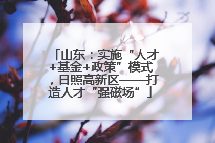 山东：实施“人才+基金+政策”模式，日照高新区——打造人才“强磁场”