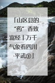 山区县的“药”香致富经丨万千气象看四川·平武③