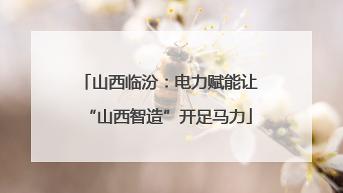 山西临汾：电力赋能让“山西智造”开足马力