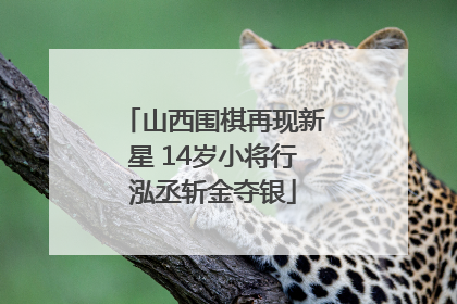 山西围棋再现新星 14岁小将行泓丞斩金夺银