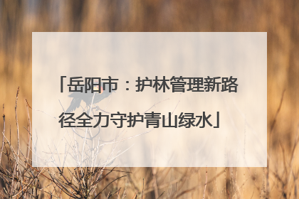 岳阳市：护林管理新路径全力守护青山绿水