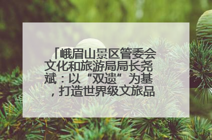 峨眉山景区管委会文化和旅游局局长尧斌：以“双遗”为基，打造世界级文旅品牌与国际典范