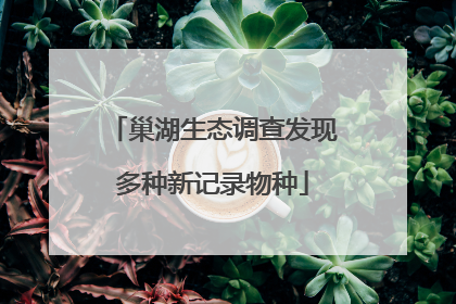 巢湖生态调查发现多种新记录物种