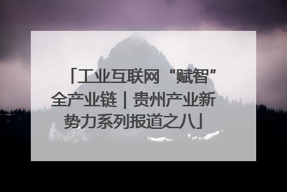 工业互联网“赋智”全产业链｜贵州产业新势力系列报道之八
