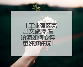 工业强区亮出文旅牌 看镇海如何变得更好逛好玩