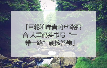 巨轮泊岸奏响丝路强音 太重码头书写“一带一路”硬核答卷